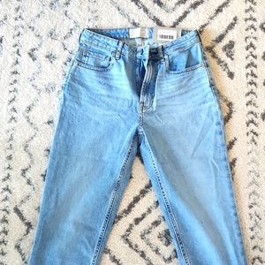 Everlane Curvy Cheeky Jeans Size 27 Light Blue